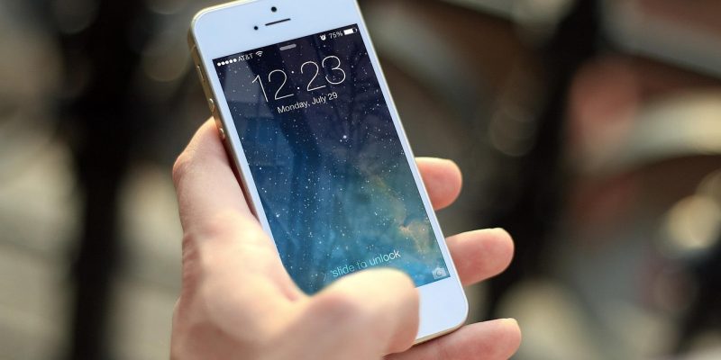 iPhone和Android手机并排展示本机ip查询界面，左侧iPhone显示WiFi详情中的IP地址设置页，右侧Android显示关于手机状态信息中的IP地址，清晰对比两大平台操作差异